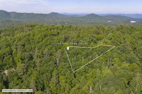 283 Pine Cone Ct, Sapphire, NC 28774 photo 13