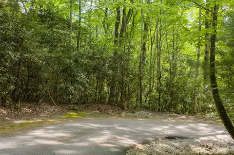 283 Pine Cone Ct, Sapphire, NC 28774 photo 9