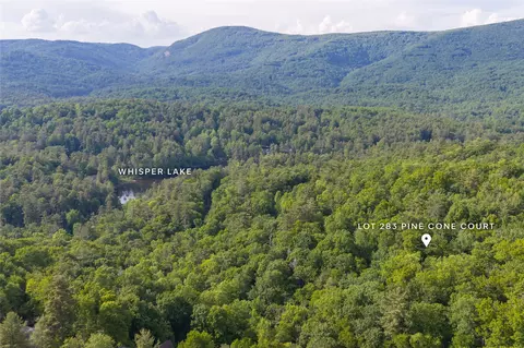 283 Pine Cone Ct, Sapphire, NC 28774 photo 17