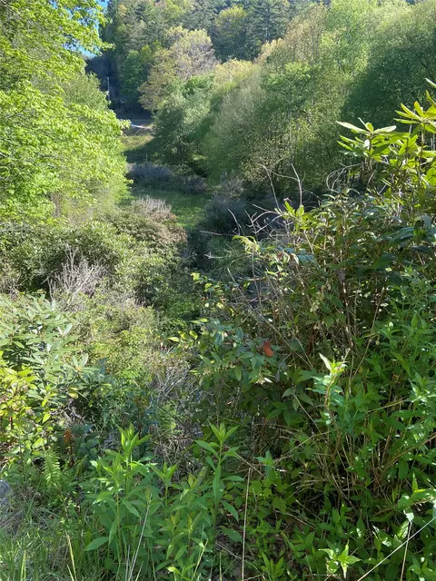 25 Receptive Dr, Glenville, NC 28736