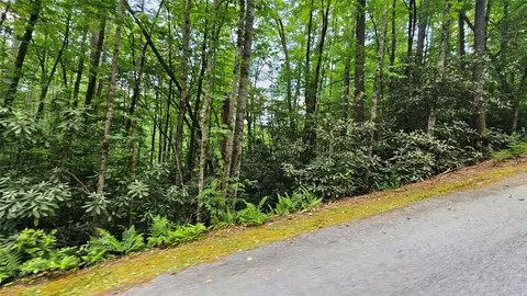 l162 Sunrise Court, Sapphire, NC 28774 photo 10