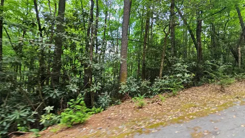 l162 Sunrise Court, Sapphire, NC 28774 photo 11
