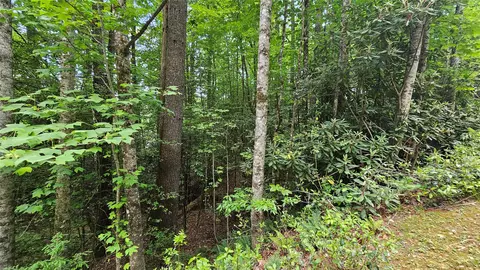l162 Sunrise Court, Sapphire, NC 28774 photo 3