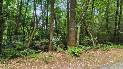 l162 Sunrise Court, Sapphire, NC 28774 photo 12
