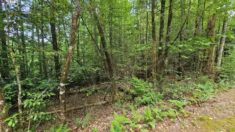 l162 Sunrise Court, Sapphire, NC 28774 photo 7