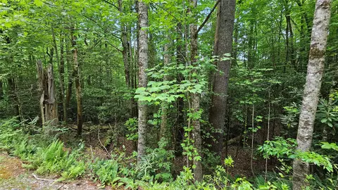 l162 Sunrise Court, Sapphire, NC 28774 photo 2