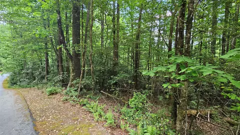 l162 Sunrise Court, Sapphire, NC 28774 photo 4