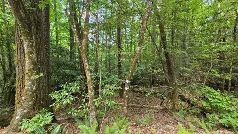l162 Sunrise Court, Sapphire, NC 28774 photo 6