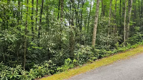 l162 Sunrise Court, Sapphire, NC 28774 photo 9