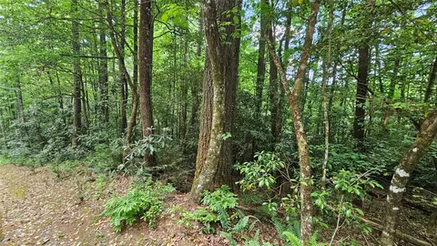 l162 Sunrise Court, Sapphire, NC 28774 photo 8