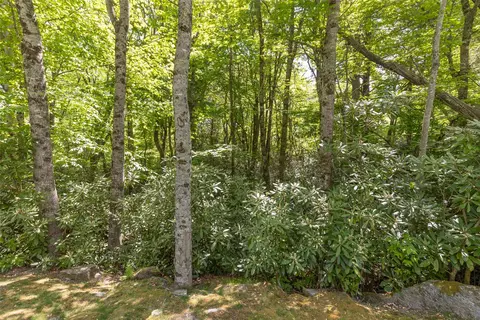 124 Cove View Dr, Highlands, NC 28741 photo 2
