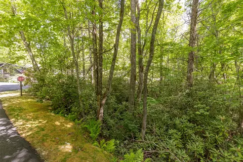 124 Cove View Dr, Highlands, NC 28741 photo 5