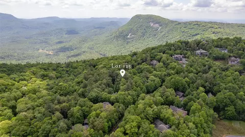 125 Cove View Dr, Highlands, NC 28741 photo 11