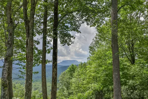 3 Whitewater Ridge Rd, Sapphire, NC 28774 photo 26