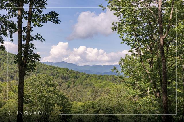 C21 Roaming Road, Glenville, NC 28736