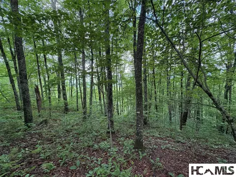 Lt 22 Hibernation Place, Cullowhee, NC 28723 photo 4