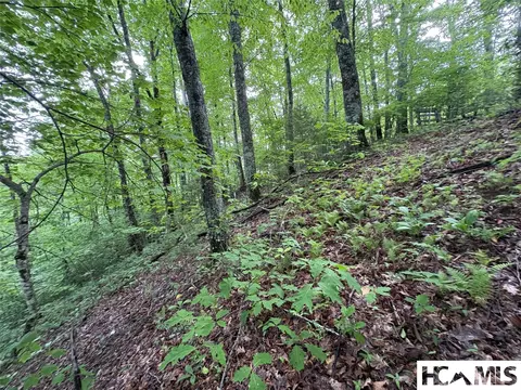 Lt 22 Hibernation Place, Cullowhee, NC 28723 photo 6