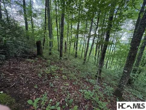 Lt 22 Hibernation Place, Cullowhee, NC 28723 photo 5