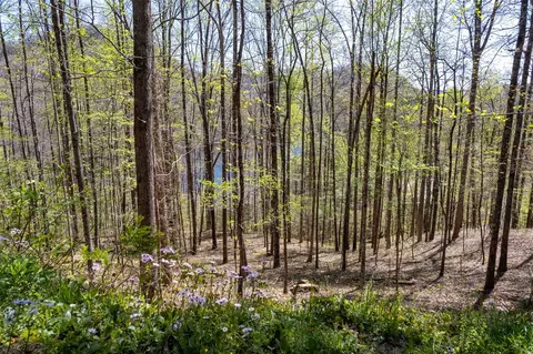 00 Pepperbush Ln, Tuckasegee, NC 28783 photo 17