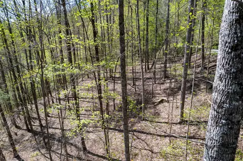 00 Pepperbush Ln, Tuckasegee, NC 28783 photo 16