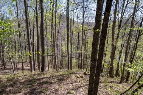 00 Pepperbush Ln, Tuckasegee, NC 28783 photo 24