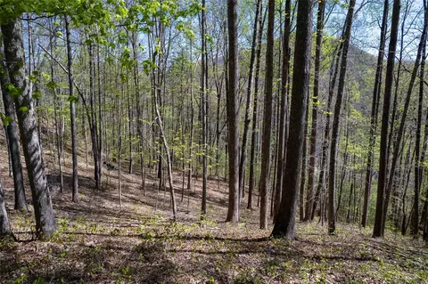 00 Pepperbush Ln, Tuckasegee, NC 28783 photo 23