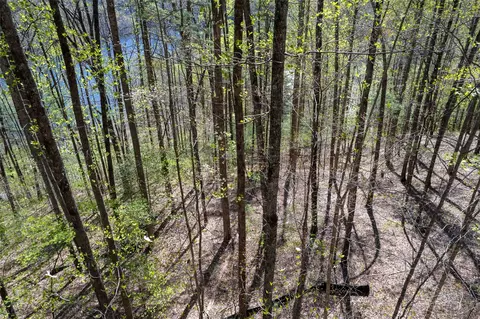 00 Pepperbush Ln, Tuckasegee, NC 28783 photo 15