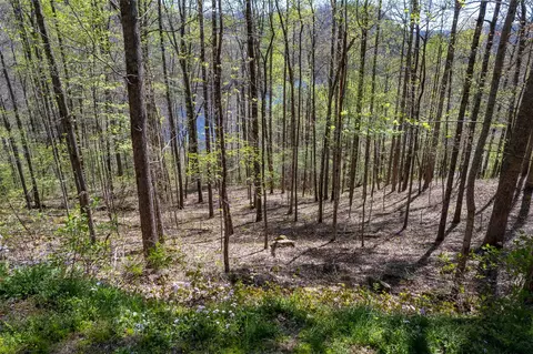 00 Pepperbush Ln, Tuckasegee, NC 28783 photo 18