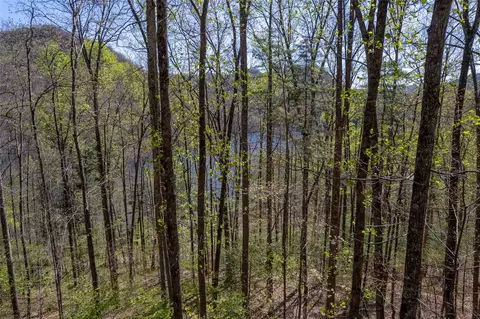 00 Pepperbush Ln, Tuckasegee, NC 28783 photo 14