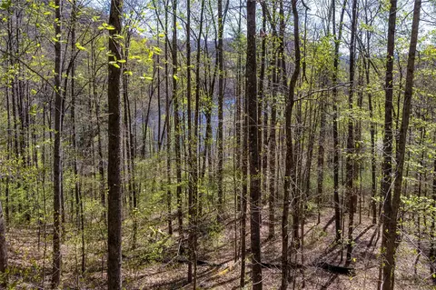 00 Pepperbush Ln, Tuckasegee, NC 28783 photo 12