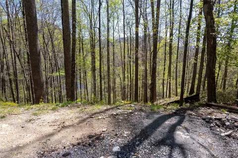 00 Pepperbush Ln, Tuckasegee, NC 28783 photo 20
