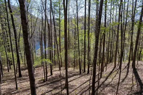 00 Pepperbush Ln, Tuckasegee, NC 28783 photo 19