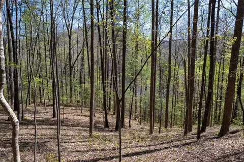00 Pepperbush Ln, Tuckasegee, NC 28783 photo 21
