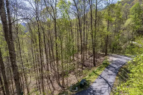 00 Pepperbush Ln, Tuckasegee, NC 28783 photo 8