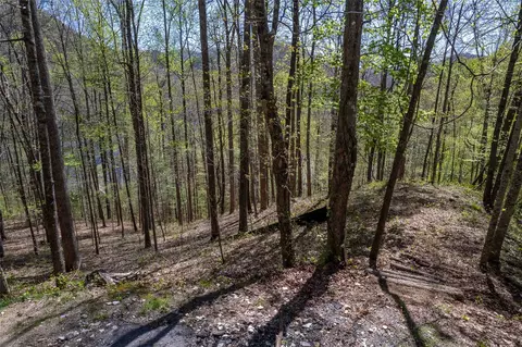 00 Pepperbush Ln, Tuckasegee, NC 28783 photo 28