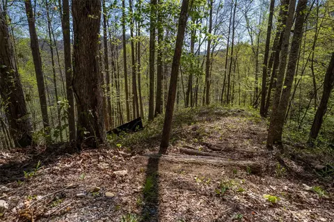 00 Pepperbush Ln, Tuckasegee, NC 28783 photo 25