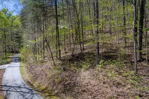 00 Pepperbush Ln, Tuckasegee, NC 28783 photo 35
