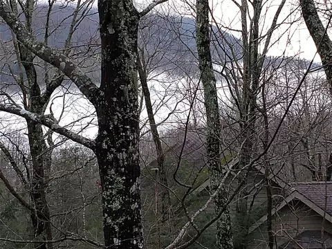 View/Area - 39 Bald Eagle Ct, Sapphire, NC 28774 photo 1 of 4