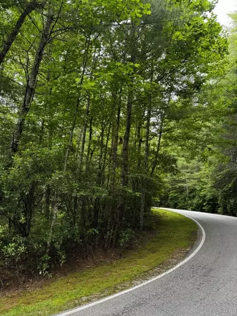 47 Big Pine Rd # B, Sapphire, NC 28774 photo 7