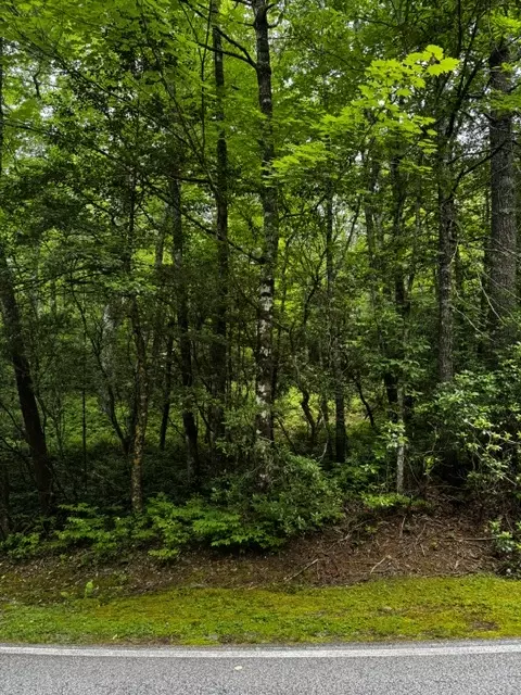 47 Big Pine Rd # B, Sapphire, NC 28774 photo 5