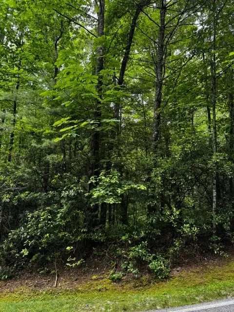 47 Big Pine Rd # B, Sapphire, NC 28774 photo 6