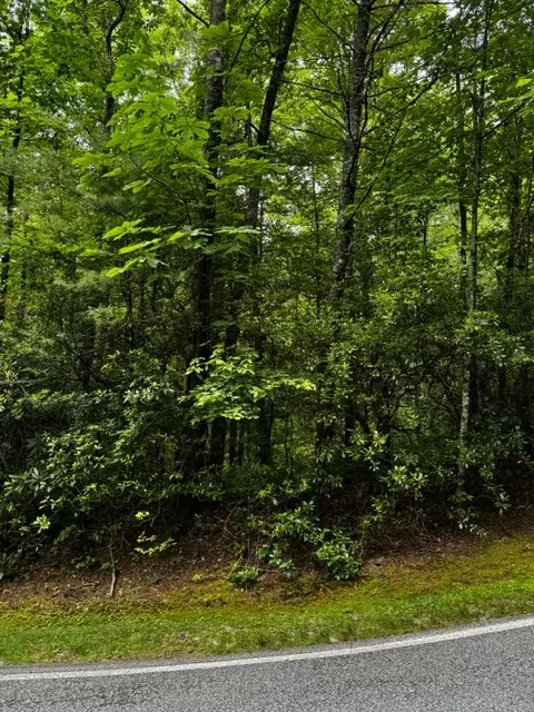 47 Big Pine Rd # B, Sapphire, NC 28774 photo 2