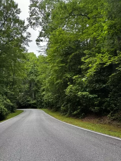 47 Big Pine Rd # B, Sapphire, NC 28774 photo 4