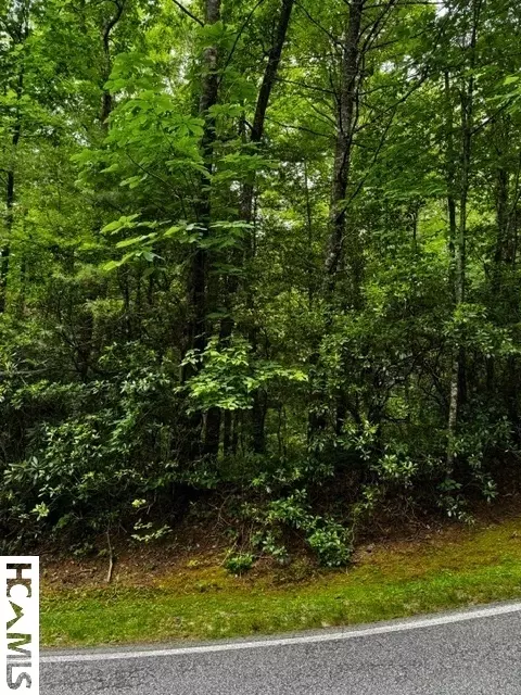 48 Big Pine Rd # B, Sapphire, NC 28774 photo 2
