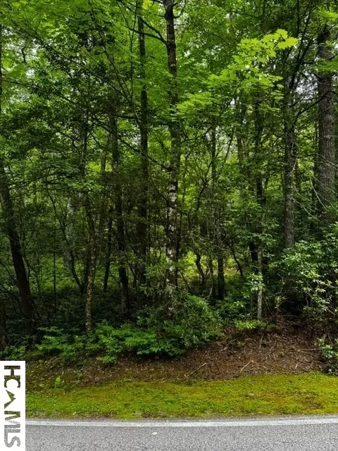 48 Big Pine Rd # B, Sapphire, NC 28774 photo 5