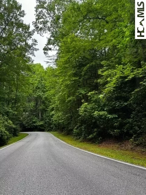48 Big Pine Rd # B, Sapphire, NC 28774 photo 4