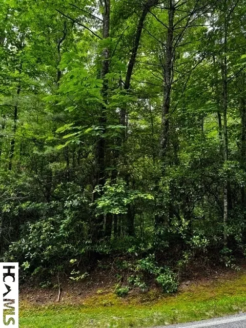 48 Big Pine Rd # B, Sapphire, NC 28774 photo 6