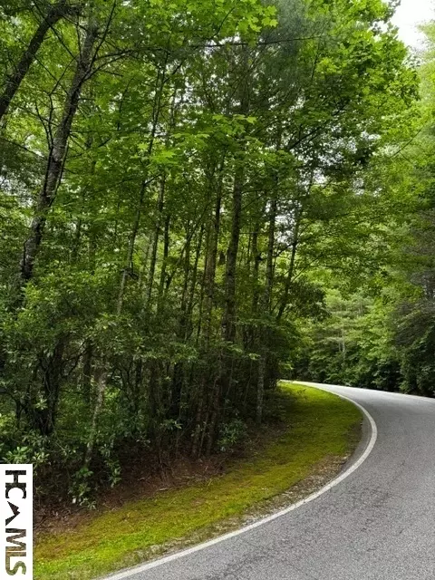 48 Big Pine Rd # B, Sapphire, NC 28774 photo 7