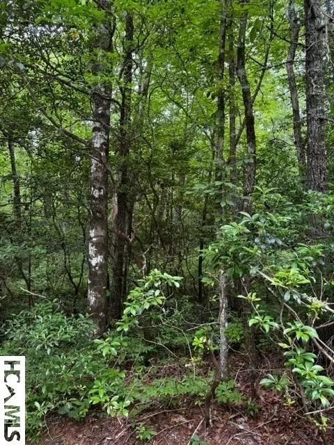 48 Big Pine Rd # B, Sapphire, NC 28774 photo 3