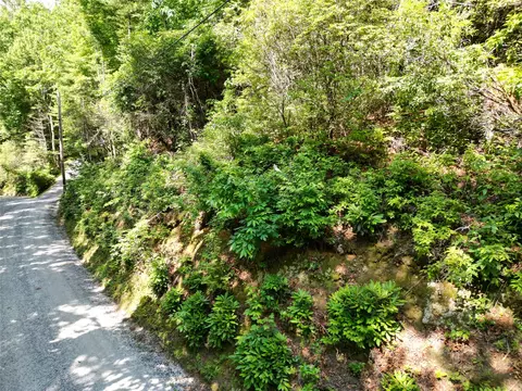 00 Old Bear Ridge Rd, Scaly Mountain, NC 28775 photo 7